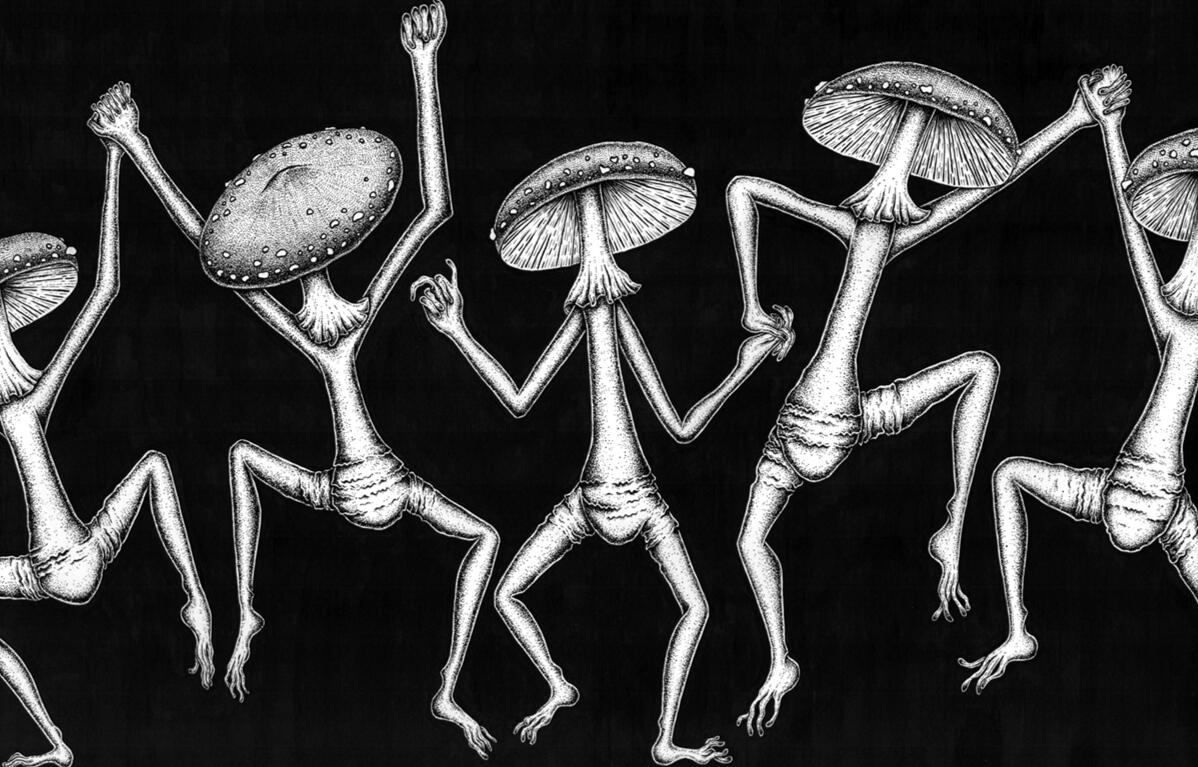 Danse Macabre: The Shrooms